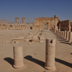 Palmyra, Agora