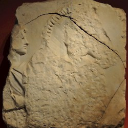 Limyra, Cenotaph of Gaius Caesar, Damaged relief