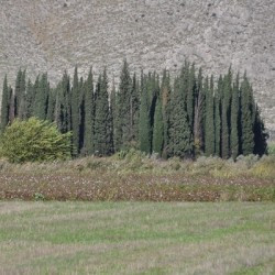 Chaeronea, Macedonian Tumulus
