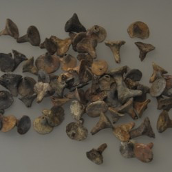 Chaeronea, Macedonian Tumulus, Terracotta flowers