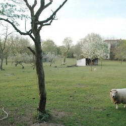 Nijmegen, Kops Plateau, Site of the cemetery