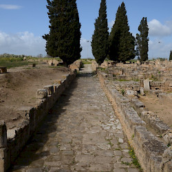 Utica, Eastern cardo
