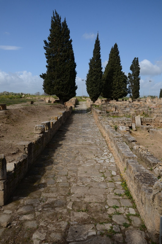 Utica, Eastern cardo